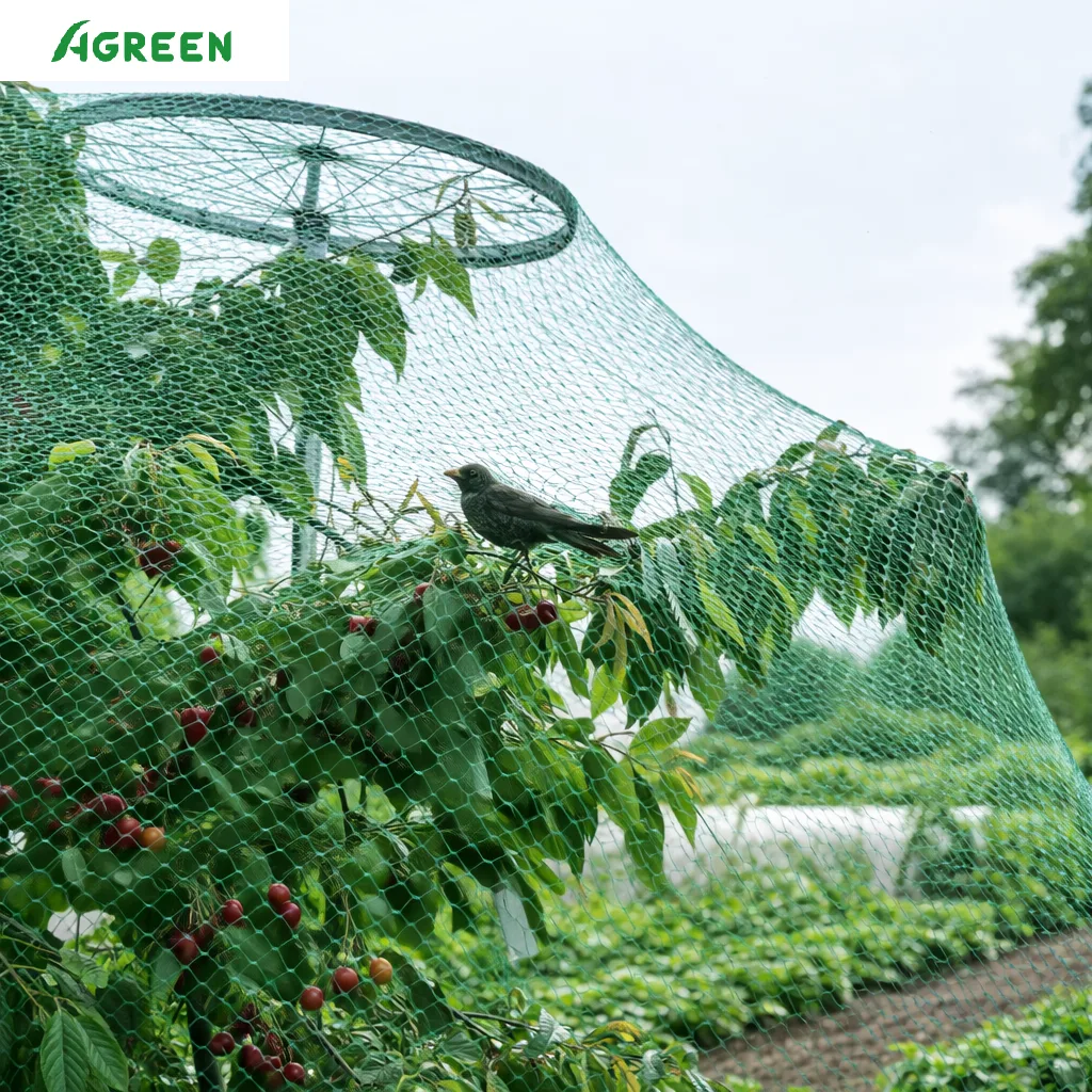 Купити сітку від шпаків Agreen — ефективний захист врожаю для господарств будь-якого масштабу