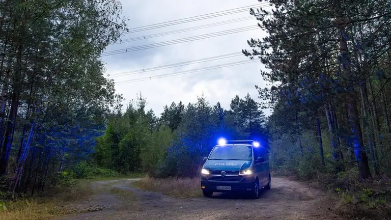Диверсійний шквал у Німеччині: у Саксонії на лініях електропередач виявили 21 вибуховий пристрій